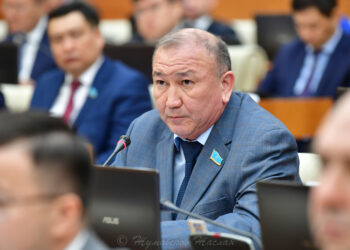 «Бүкіл әлемде мұнша ұрлық болмаған»: Депутат жемқорлықпен күресті күшейту керегін айтты