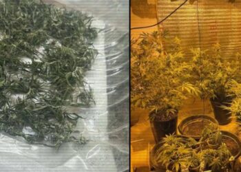 Үйінен есірткі зертханасын ашқан қызылордалық қамауға алынды