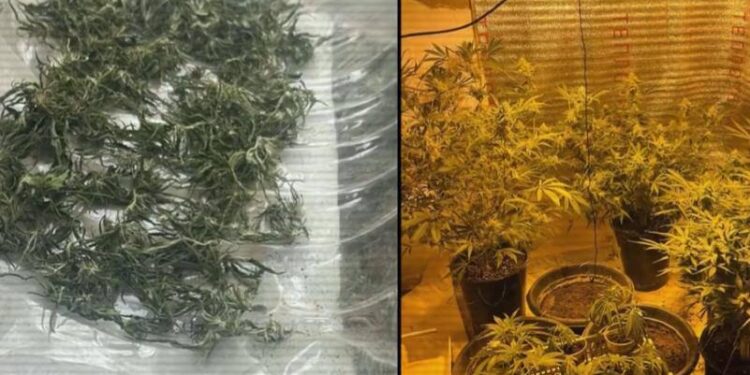 Үйінен есірткі зертханасын ашқан қызылордалық қамауға алынды