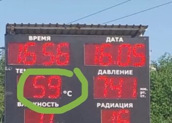 +59 градус: Қызылордада күннің ыстығынан құстар қырылып жатыр