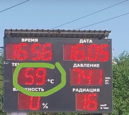 +59 градус: Қызылордада күннің ыстығынан құстар қырылып жатыр