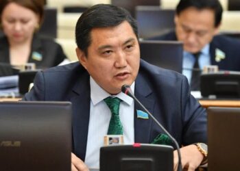 «Нәтиже жоқ па, қызметінен кетсін»: Депутат әкімдерге 2 ай сынақ мерзімін беруді ұсынды