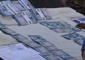 Алматыда жаңа туған сәбилерді сатумен айналысқан қылмыстық топ әшкереленді