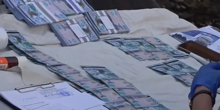 Алматыда жаңа туған сәбилерді сатумен айналысқан қылмыстық топ әшкереленді