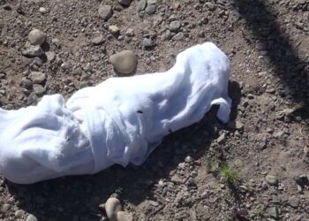 18 жастағы бойжеткен жаңа туған сәбиін дәретхана шұңқырына тастап кеткен