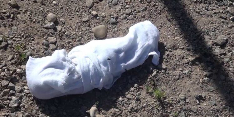 18 жастағы бойжеткен жаңа туған сәбиін дәретхана шұңқырына тастап кеткен