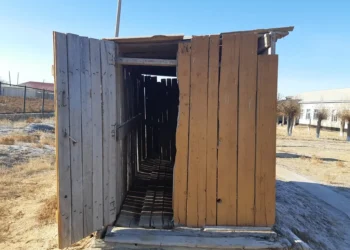 Сарыағашта 3 жасар баланы әжетханаға құлатқан қыз қылмыстық жауапкершіліктен босатылды