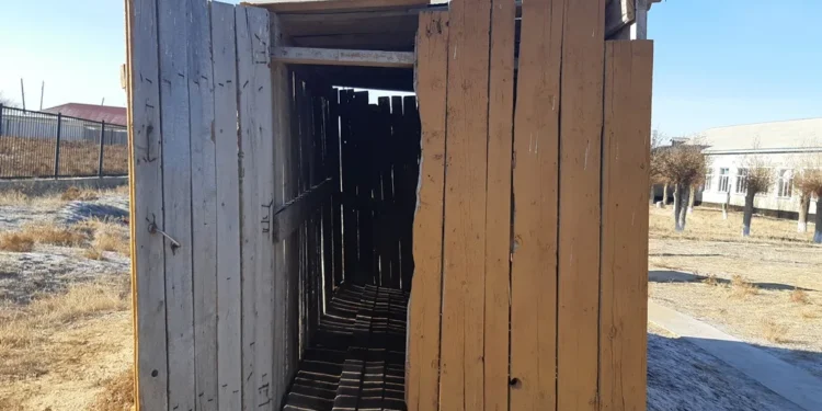 Сарыағашта 3 жасар баланы әжетханаға құлатқан қыз қылмыстық жауапкершіліктен босатылды