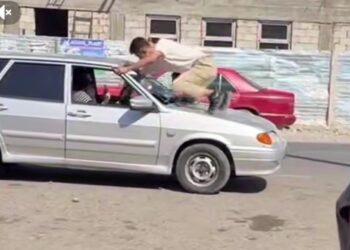 Жамбылда блогер шоу жасап, 10 тәулікке қамалды