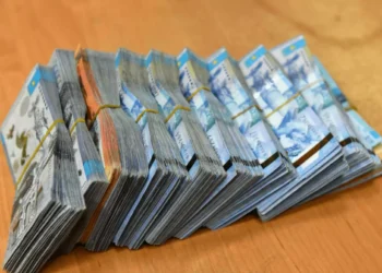 Абай облысында 350 адамды алдаған күдіктілер ұсталды