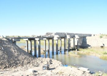 Басықарада балық тоғаны салынуда