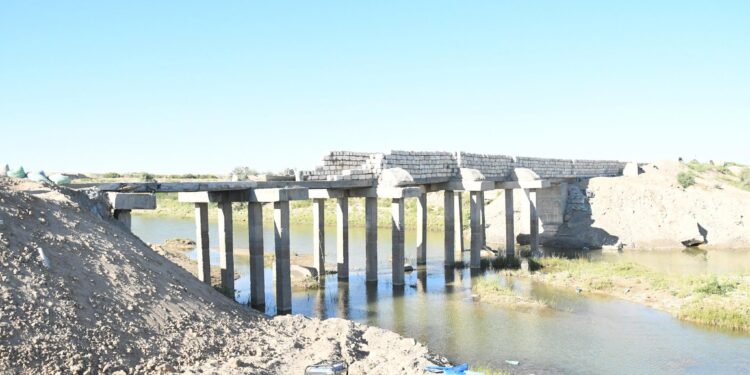 Басықарада балық тоғаны салынуда