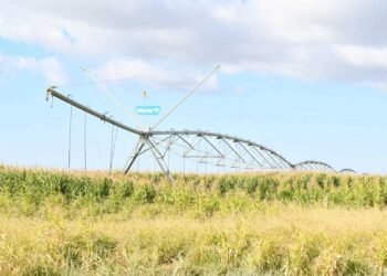 Инновация мен еңбек: Қазалы шаруаларының жетістігі