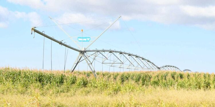 Инновация мен еңбек: Қазалы шаруаларының жетістігі