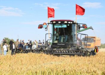 «ДАЛА КҮНІ – 2025»: ҚАЗАЛЫДА ЕГІНГЕ АЛҒАШҚЫ ОРАҚ ТҮСТІ