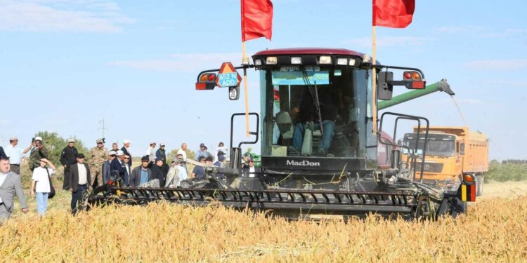 «ДАЛА КҮНІ – 2025»: ҚАЗАЛЫДА ЕГІНГЕ АЛҒАШҚЫ ОРАҚ ТҮСТІ