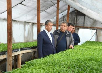 Аудан әкімі жаңа кәсіп көздерін ашқан тұрғындармен кездесті