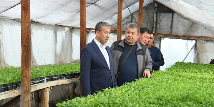 Аудан әкімі жаңа кәсіп көздерін ашқан тұрғындармен кездесті