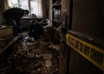 Пәтерден адам денесімен бірнеше мысықтың сүйек қалдықтары табылды
