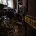 Пәтерден адам денесімен бірнеше мысықтың сүйек қалдықтары табылды