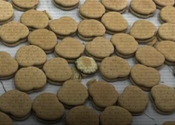 Есірткі қосылған печенье сатқан қылмыстық топ ұсталды